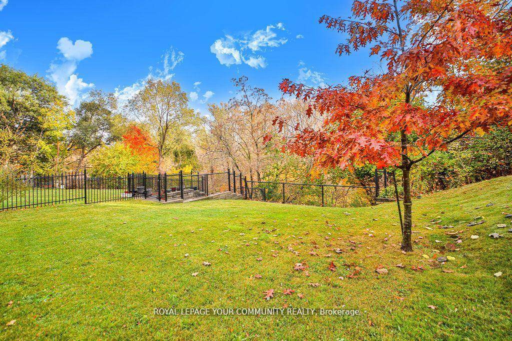 Humber River Ravine Lot, Widens to almost 74 ft at rear !