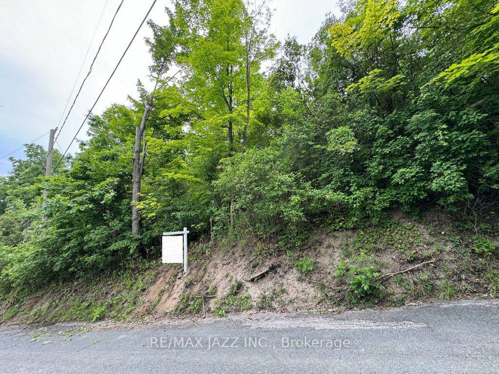 VACANT LOT This Urban Vacant Lot is Located In The Town Of Campbellford Within Trent Hills.