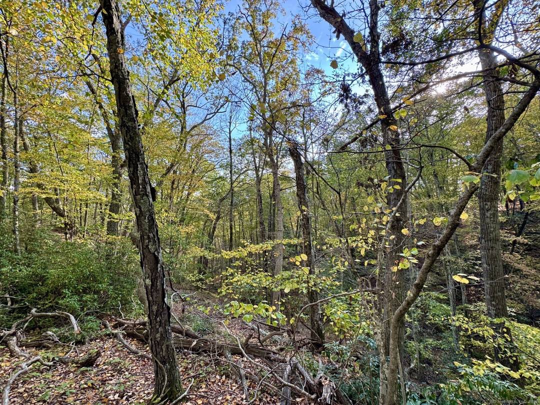 Build your dream on this designated Scenic Road abutting spectacular land trust trails.