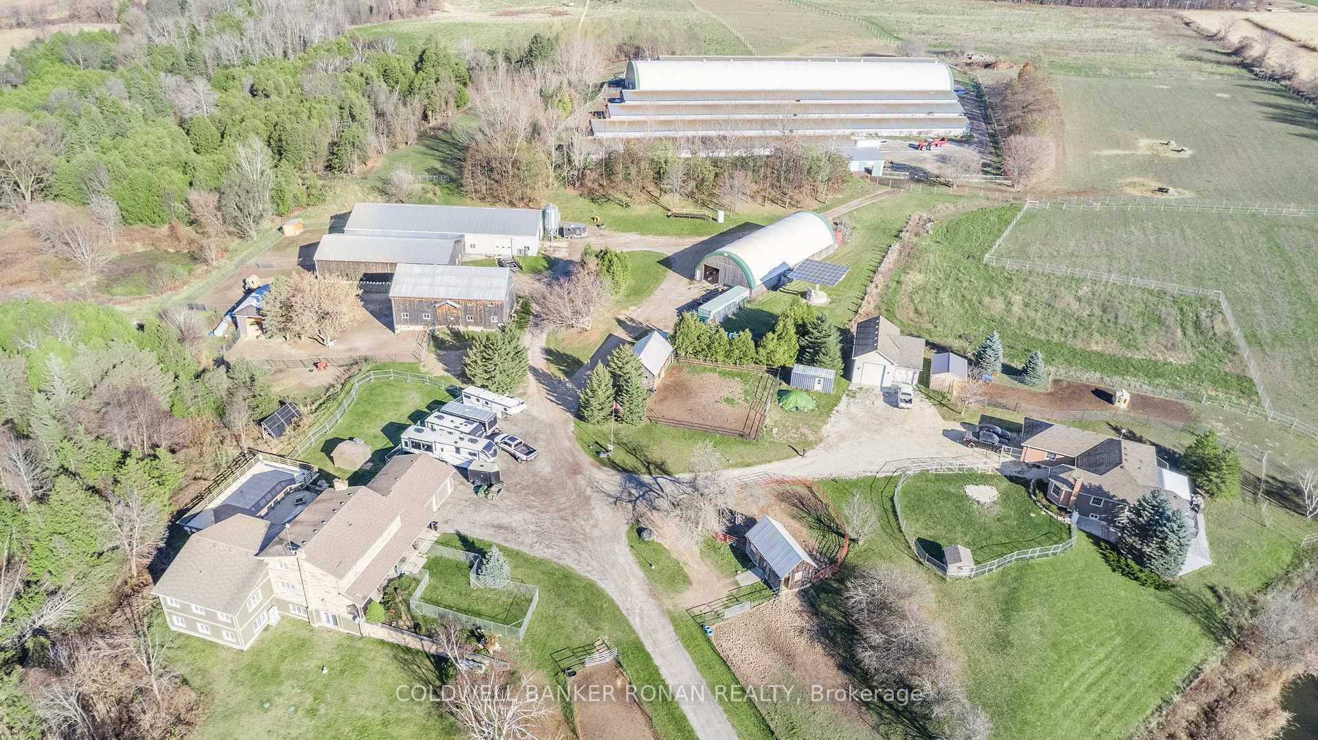 Two custom homes situated on this exceptional 118 acre property that is currently operating as a bison and Texas Longhorn cattle farm, located just minutes from the thriving town of ...