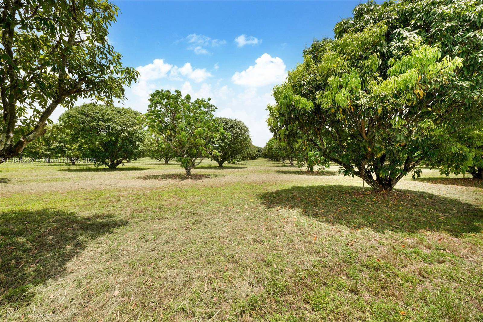 Spacious 5 acre parcel of vacant land ideally located on SW 206 Street, with frontage between SW 137th Avenue and SW 139th Avenue.