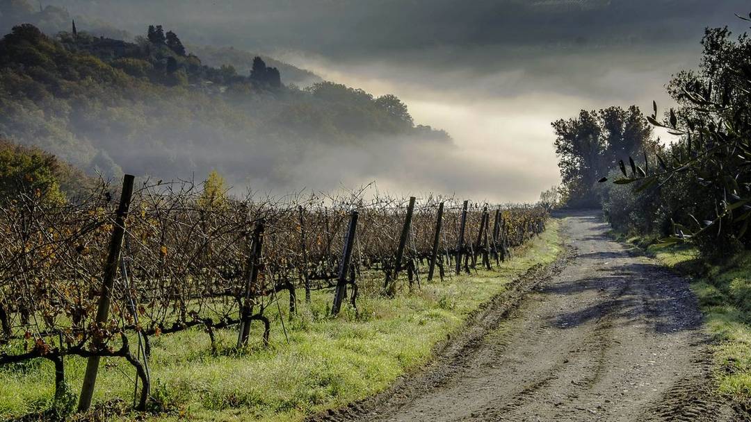 Estate of 41 ha with olive grove, vineyard, villa, farmhouse, cellars and oil mill for sale in a panoramic position in the province of Florence.