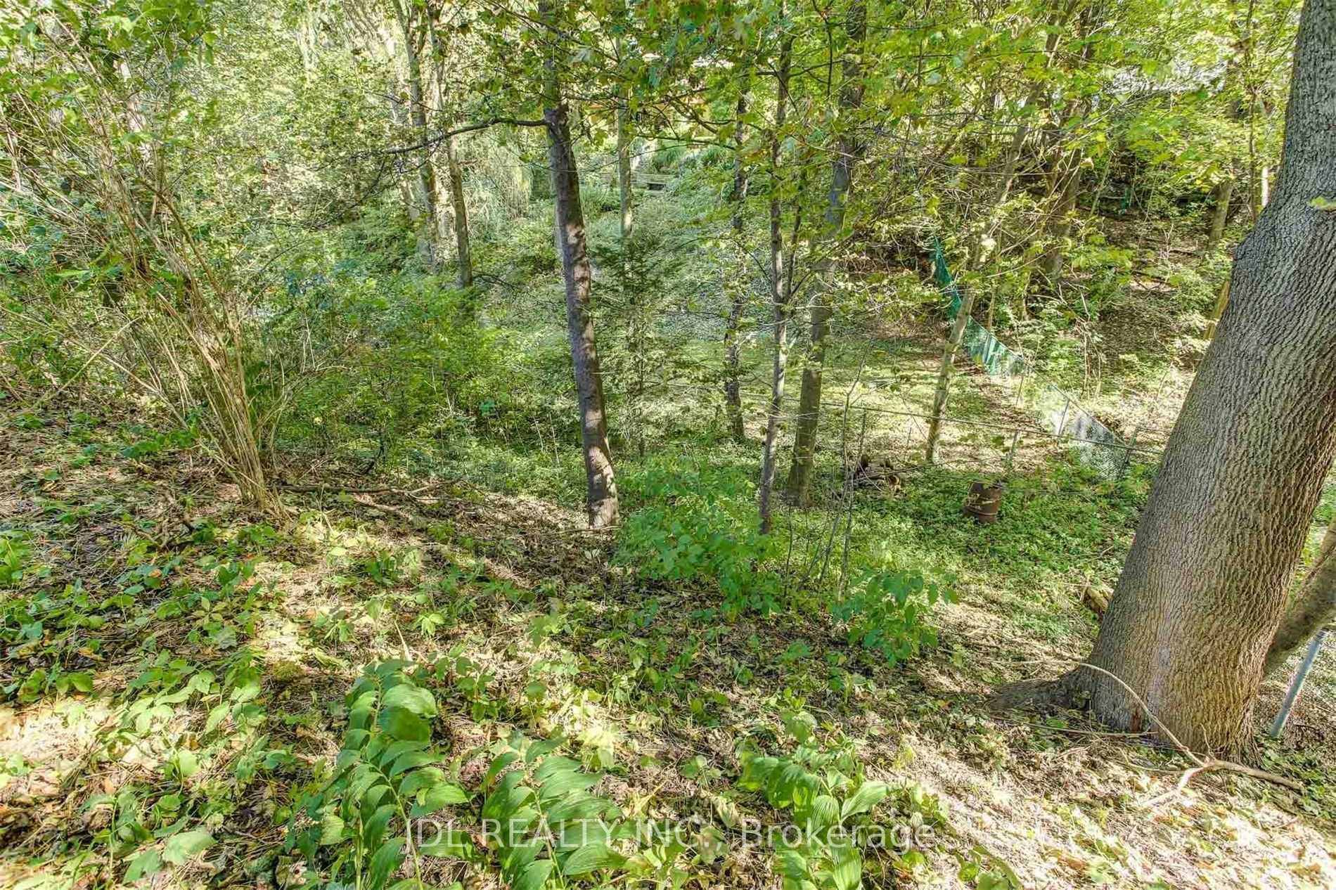Amazing 2Br Backsplit In The Most Desirable Newtonbrook East Area With Muskoka Like Backyard Overlooking Ravine.