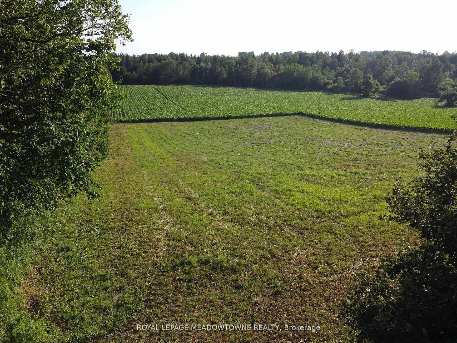Your Dream Property Awaits '1.