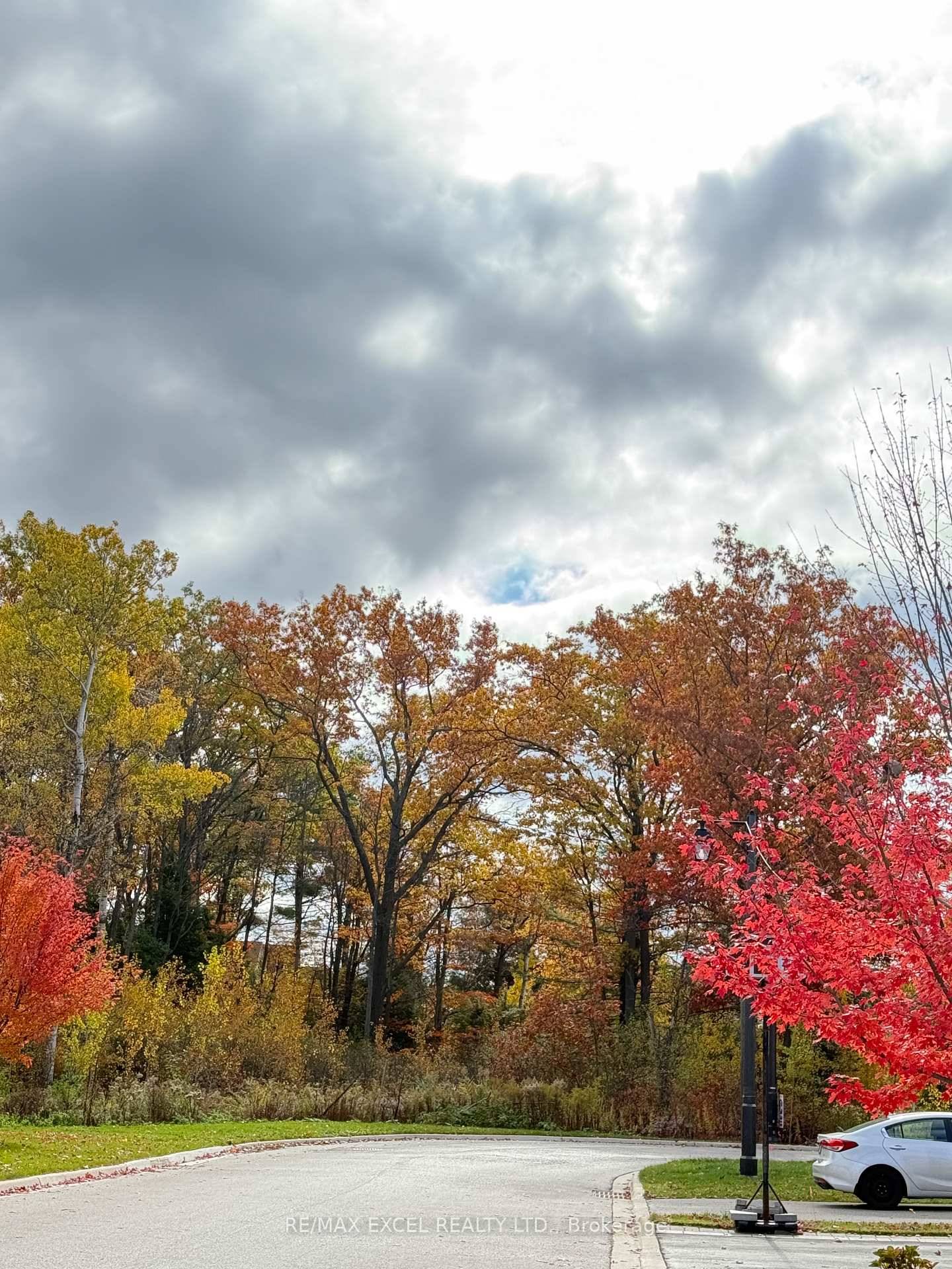 Nestled on a quiet cul de sac and backing onto a serene forest, this luxurious residence offers exceptional privacy in one of Richmond Hill's most exclusive enclaves.