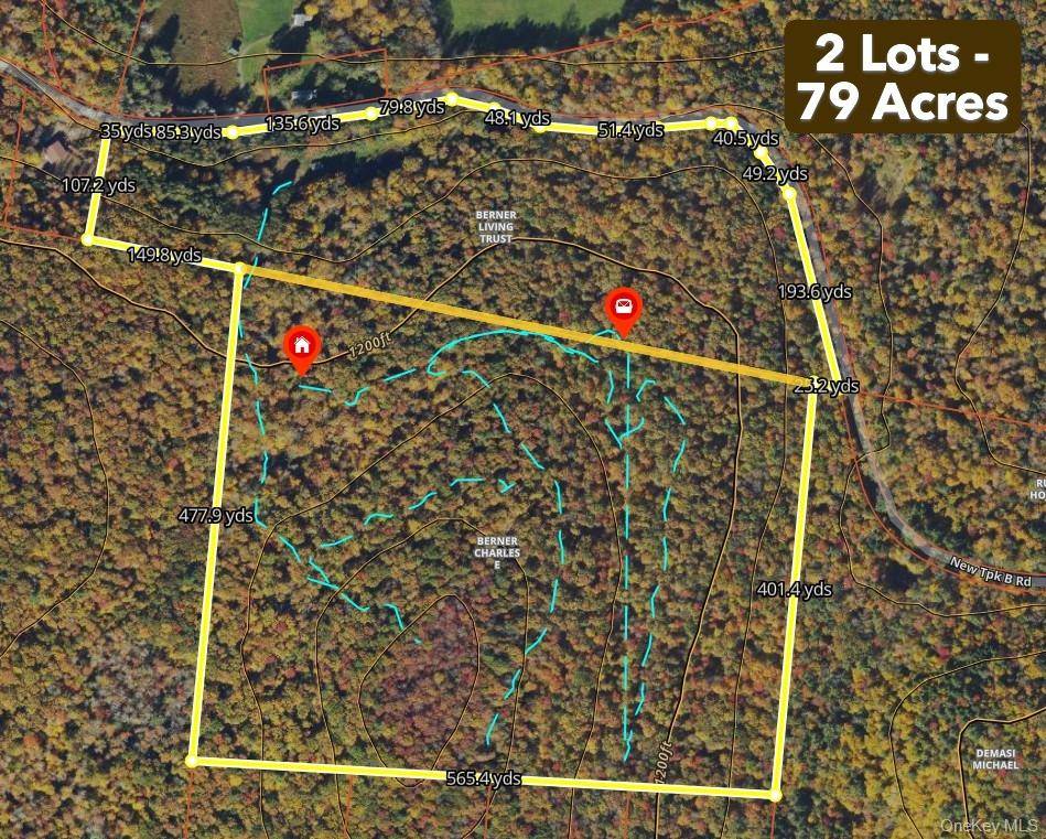 Rare 79 Acre Family Owned Catskills Estate with Pond, Barn, Wildlife Habitat amp ; Endless Potential Welcome to a hidden gem in the heart of the Catskills 79 pristine acres ...