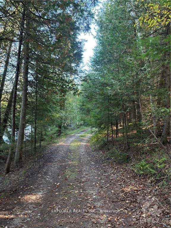 Gorgeous Malcolm Lake ! Enjoy all the beauty nature has to offer !
