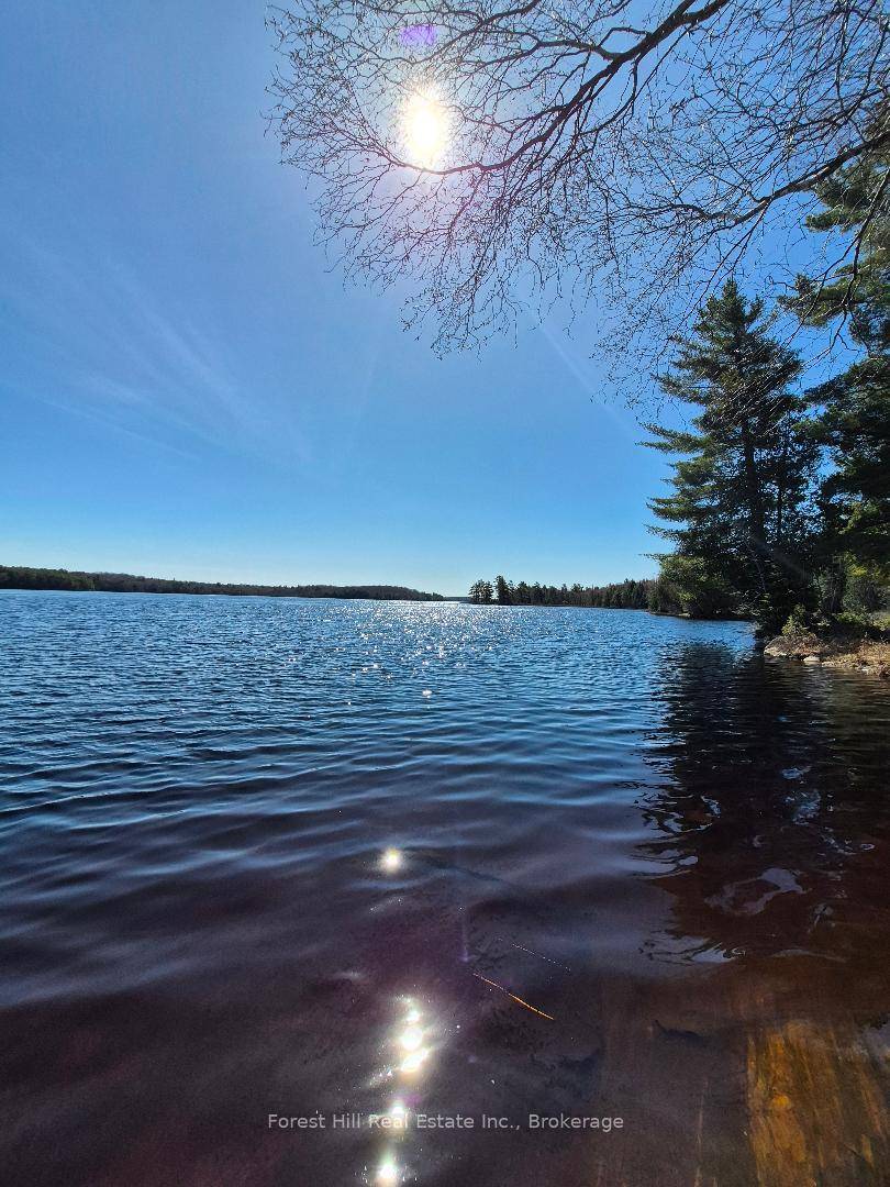 Gorgeous private Five acre waterfront property within the Axe Lake Gated Community.