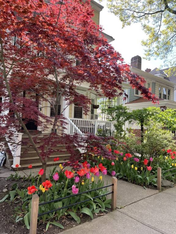 Step into the timeless appeal of this spacious first floor apartment, nestled within a lovingly maintained 1901 frame house in one of Brooklyns most distinctive and community focused neighborhoods.
