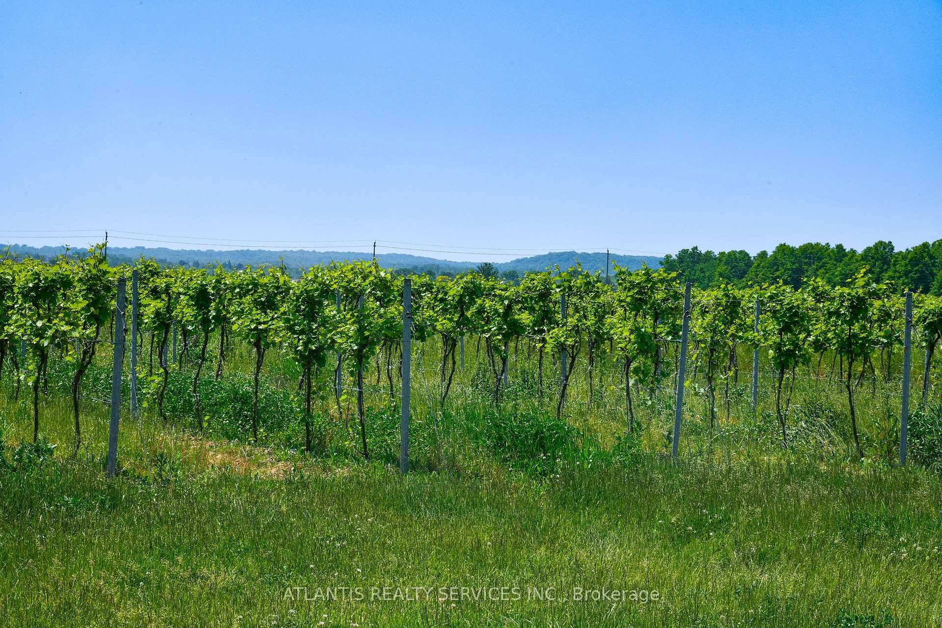 137. 93 Acres Of Beautiful Potential Stationed On The Sought After Niagara Winery Route.