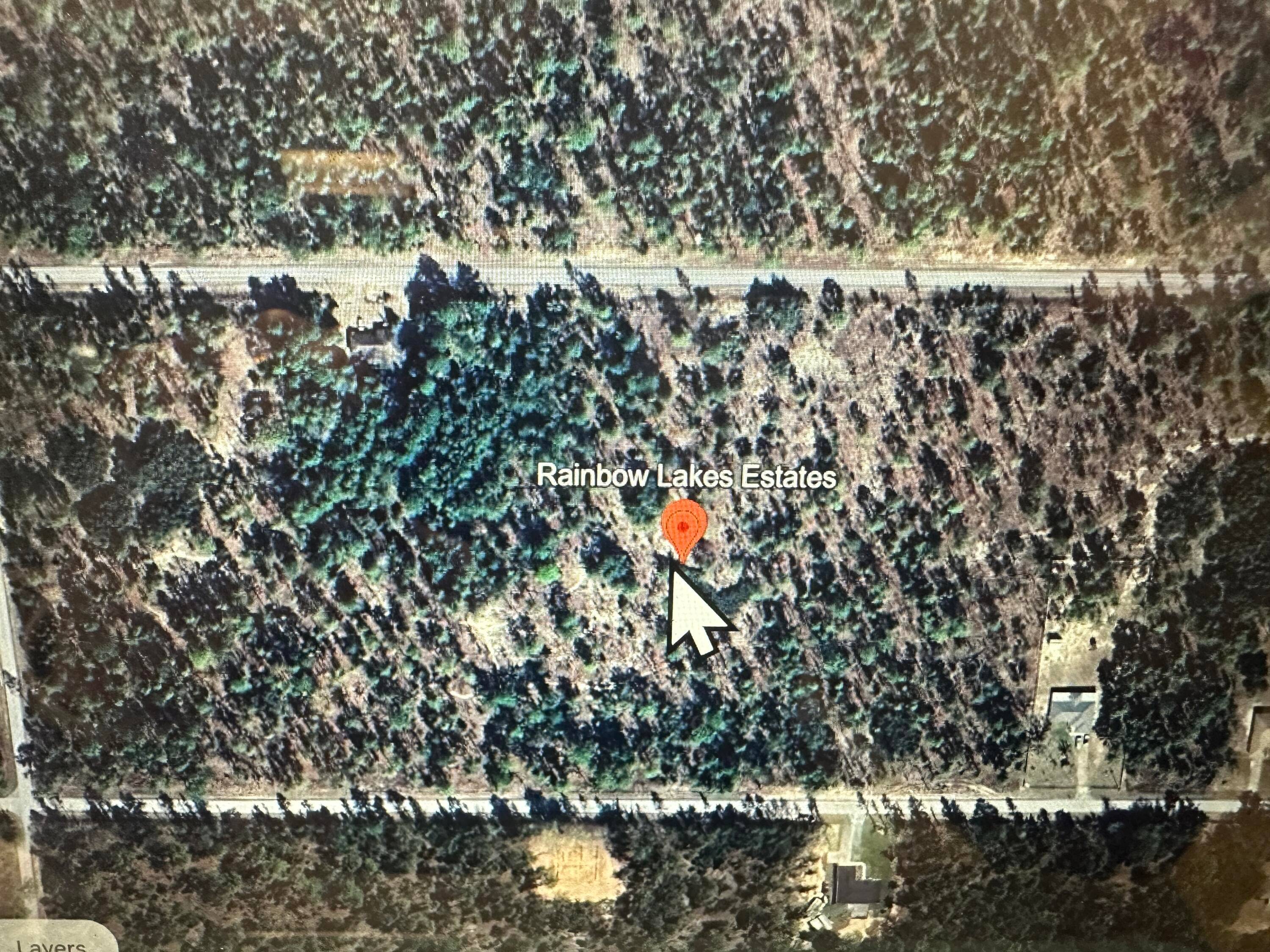 Amazing area with. 99 acre lot in Rainbow Lakes.