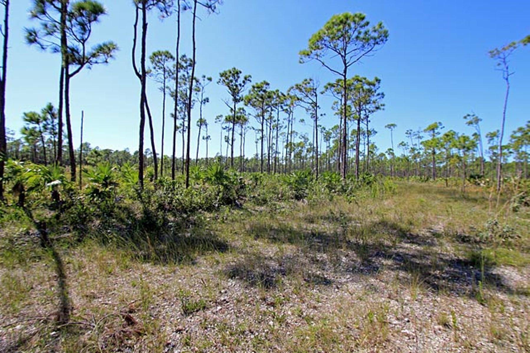LUCAYA ESTATES Land Grand-Bahama-Freeport