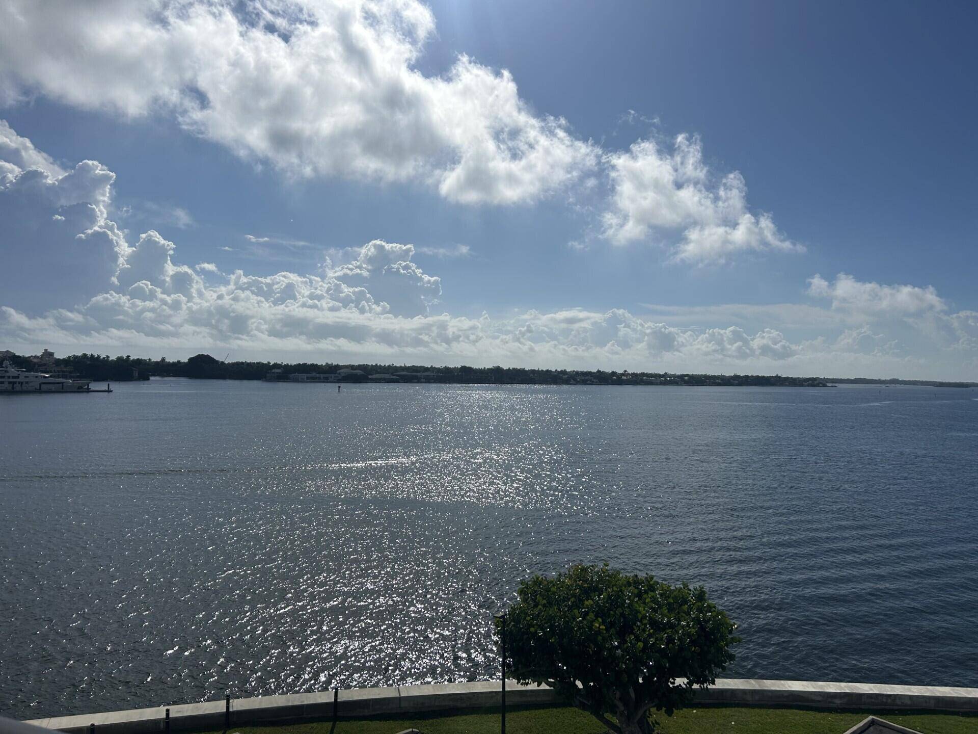 2 BR 2BA in the Trianon. located directly on the Intracoastal just south of the Royal Palm Bridge.