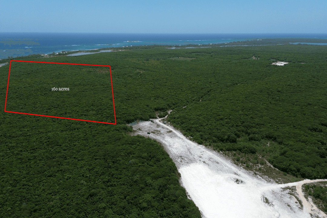 160 ACRES BURNS POND Land Eleuthera