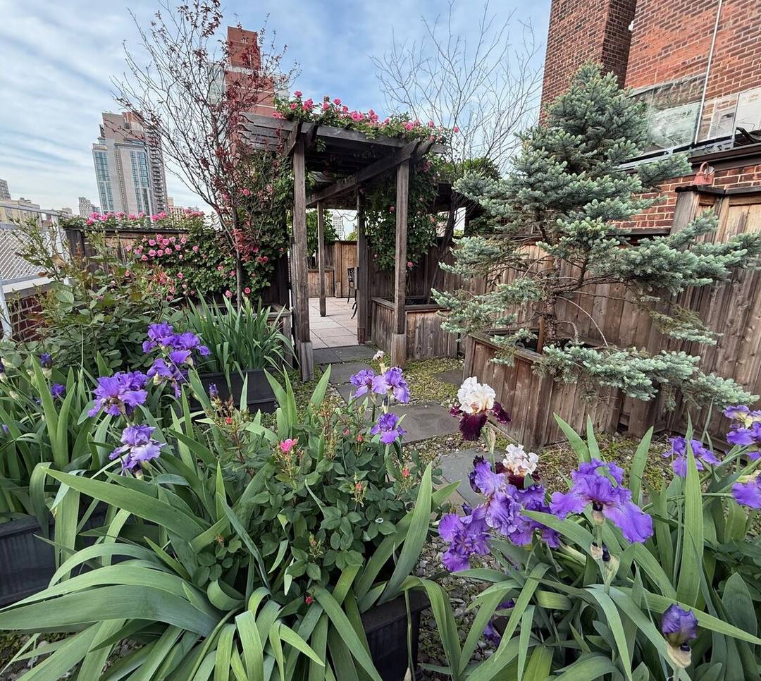 RENOVATED SPACIOUS 2BR, 1 BATH APT FOR SALE Showing will start around May 1 Beautifully designed and renovated, this bright, quiet two bedroom, one bath apartment is for sale at ...