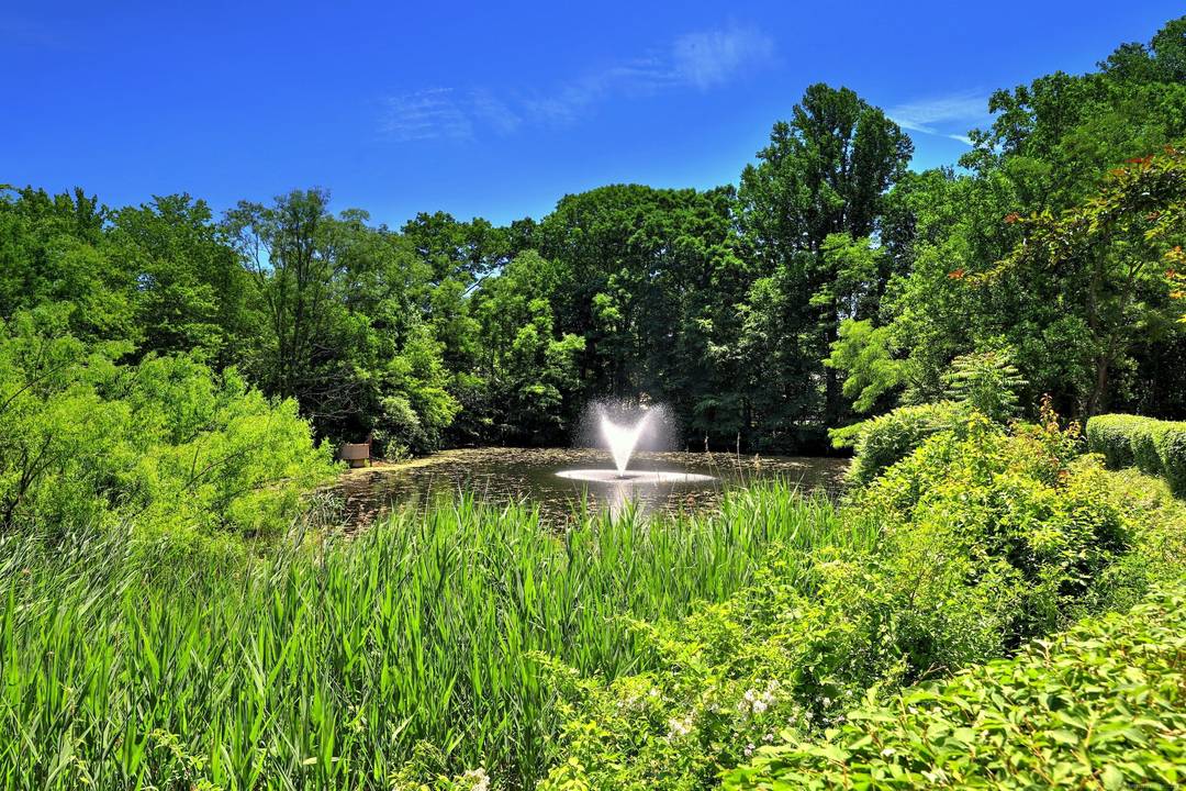 Oronoque Forest Complex !