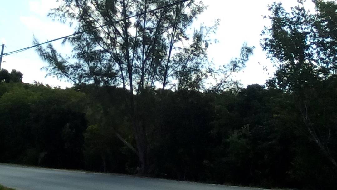 BAHAMA ISLAND REACH Land Eleuthera