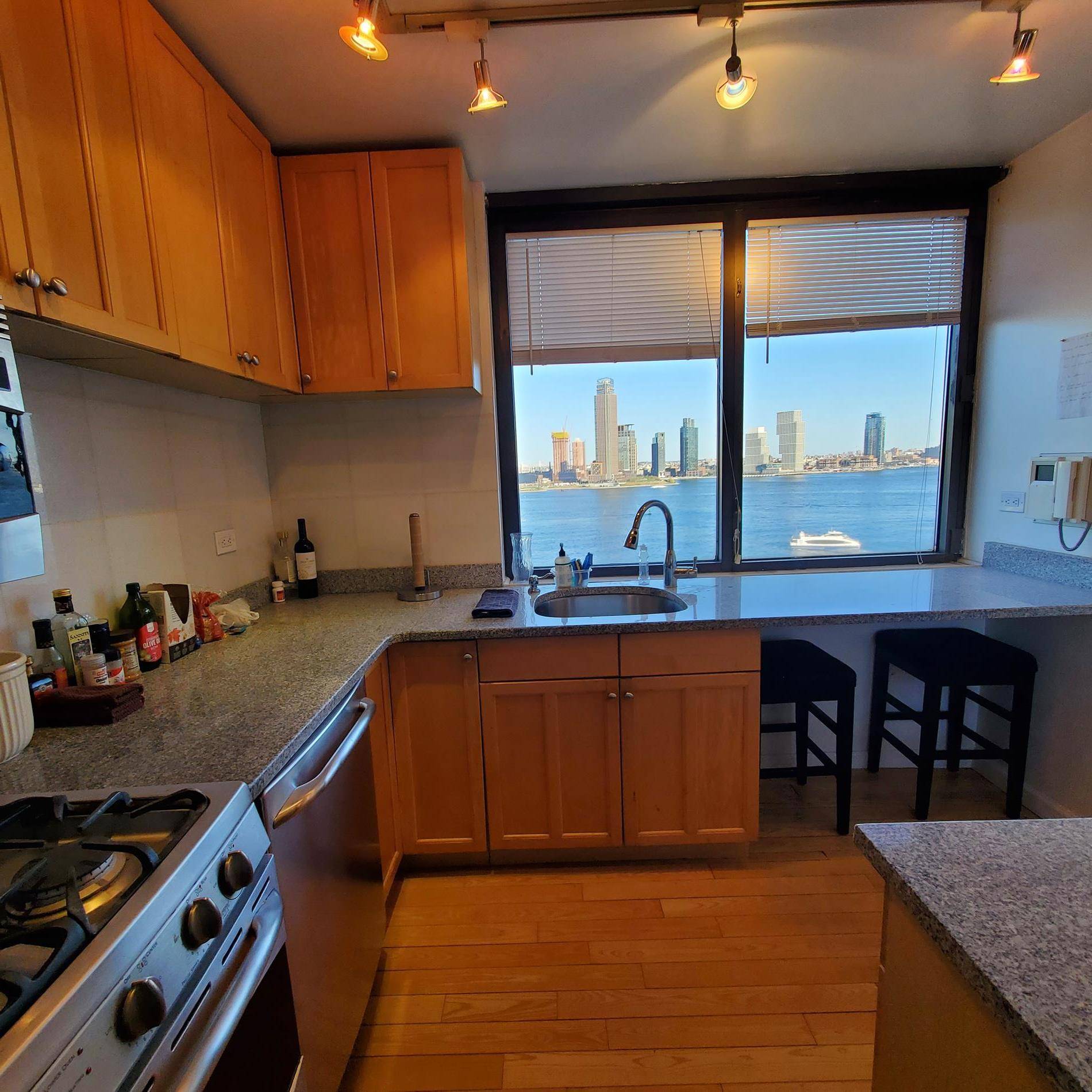 Renovated Two Bedroom Two Full bathrooms RIVER VIEWS THAT ARE SPECTACULAR !