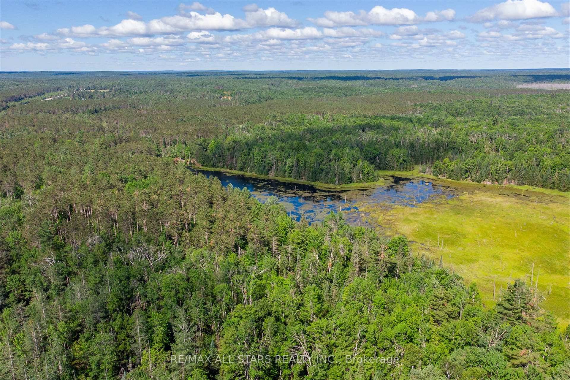 Natures Paradise on 95 Acres Year Round Municipal Road Access Welcome to your very own private escape 95 acres of breathtaking natural beauty, where peace and privacy abound.