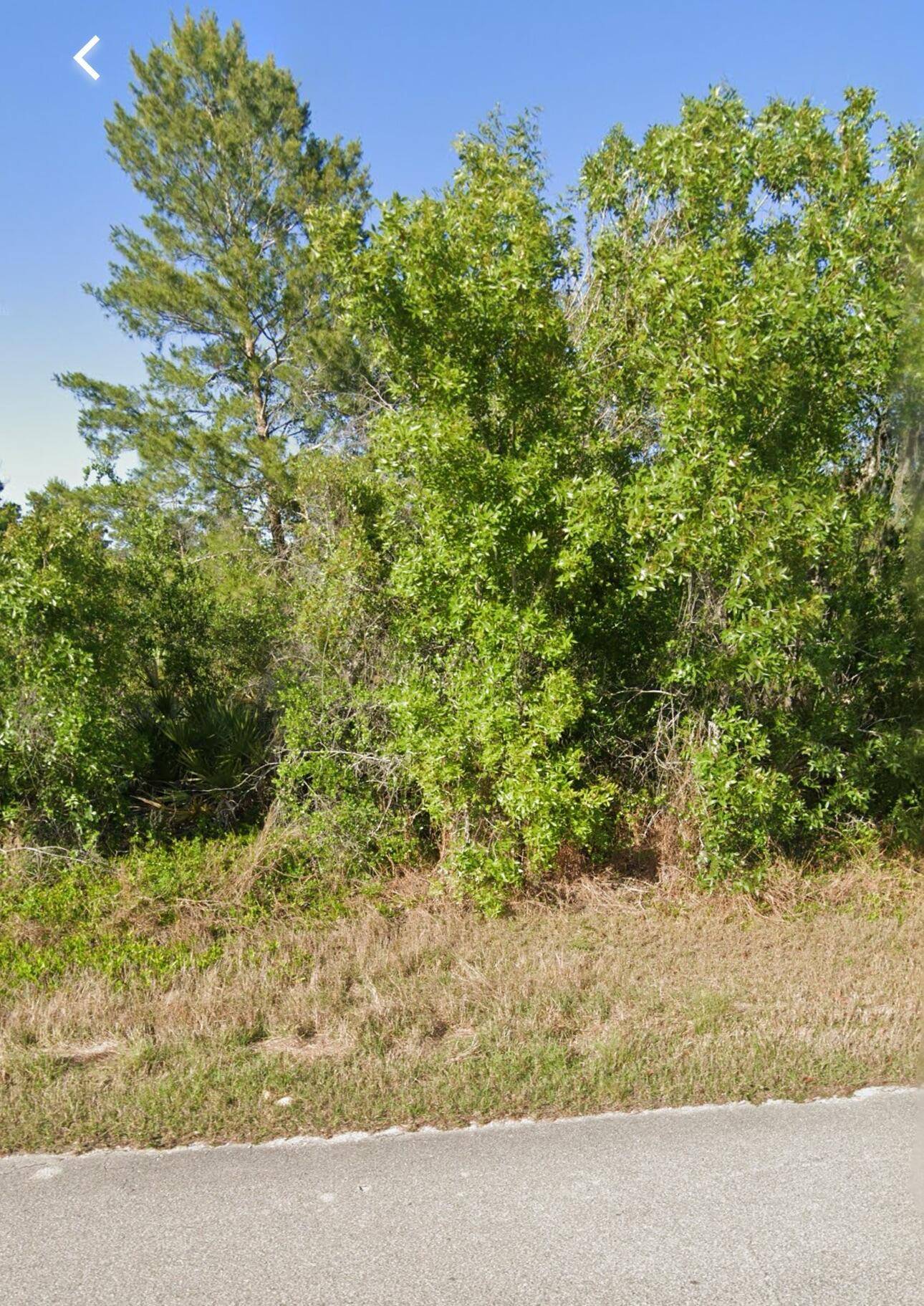 110 Devoe Avenue Land Palm Beach