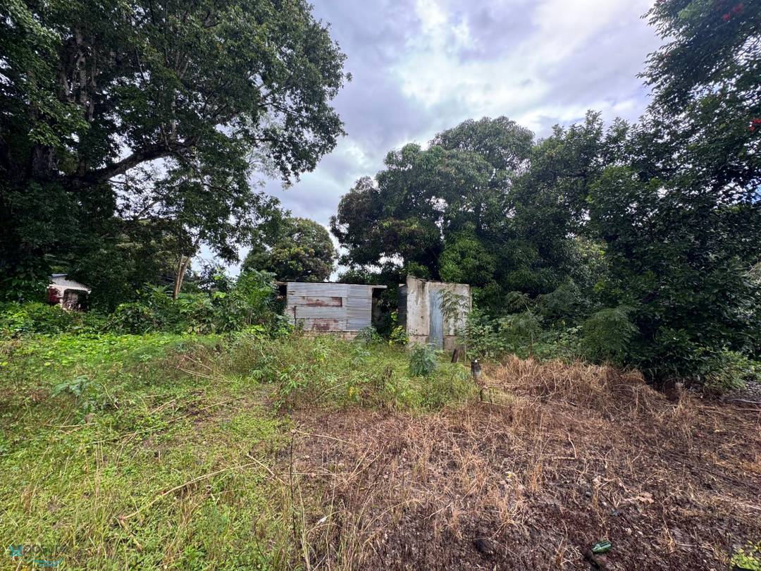 CAMINO LOS TORO Land San-German