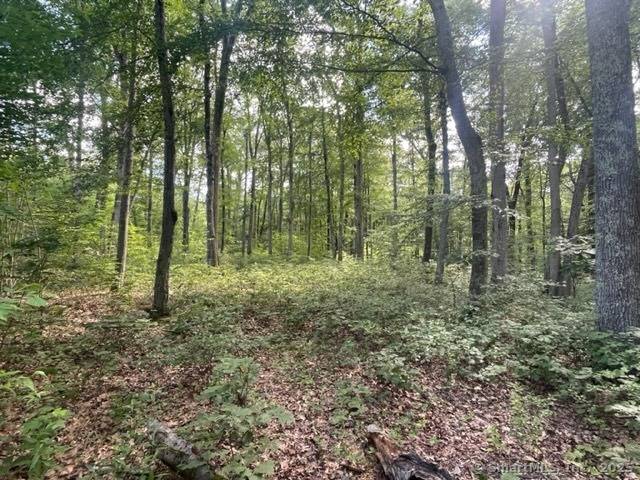 Beautiful, subdividable building lot in highly sought West Redding.