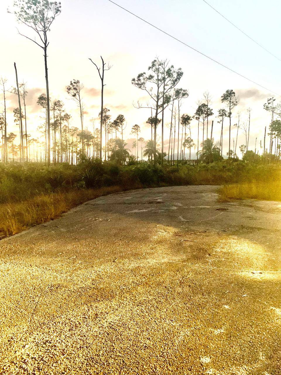 CHAPEL CLOSE, GRAND BAHA Land Grand-Bahama-Freeport