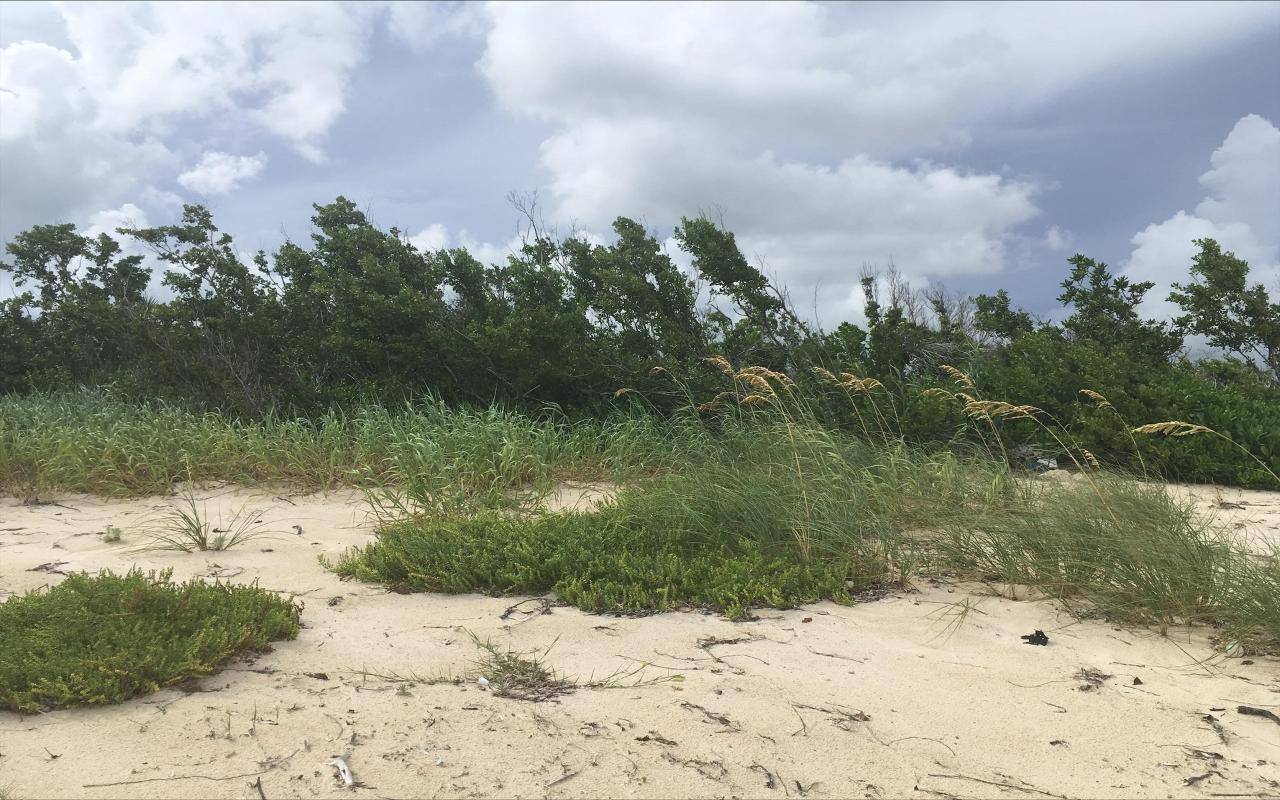 COLUMBUS LANDING 3, LOT 6 Land San-Salvador