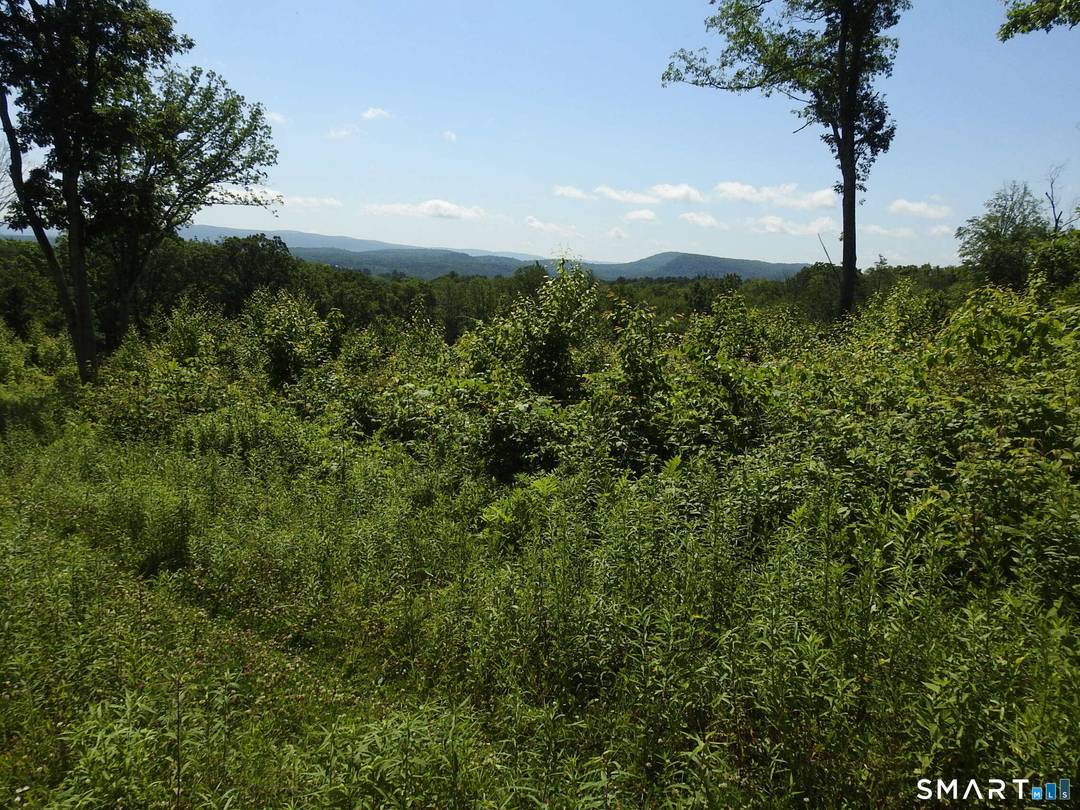 PROPERTY LOCATED VIA A LONG SHARED PRIVATE ROAD.