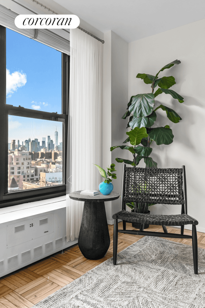 Charming Brooklyn Apartment with Breathtaking Views Perfect for Your New Home or Pied a Terre !