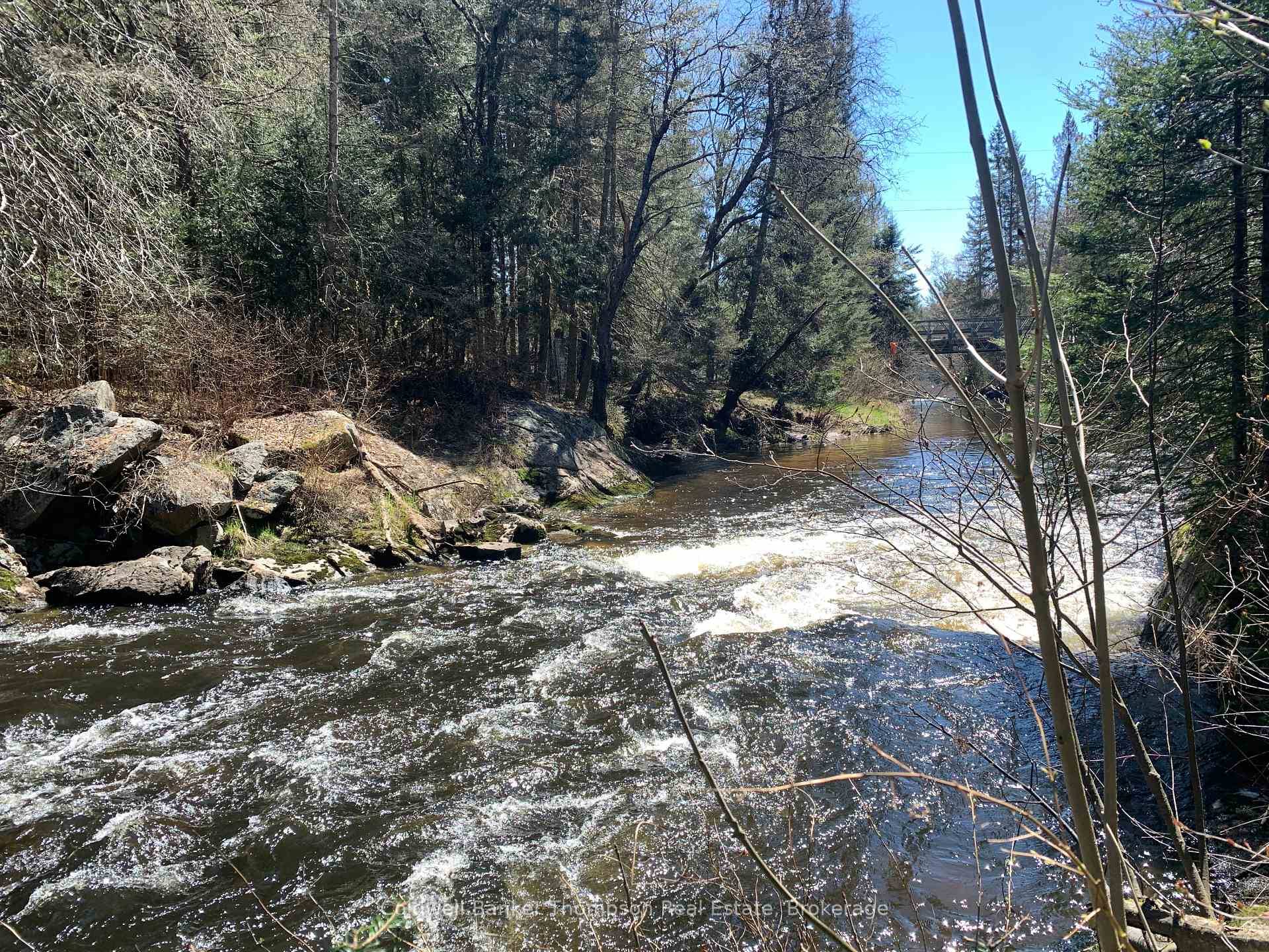 2 Acres of mixed forest with over 600 feet of frontage on Sterling Creek.
