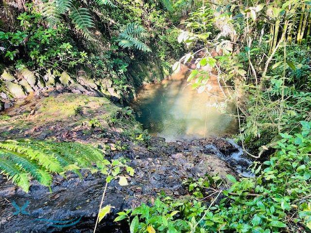 BO. MIRASOL , LARES Land Lares