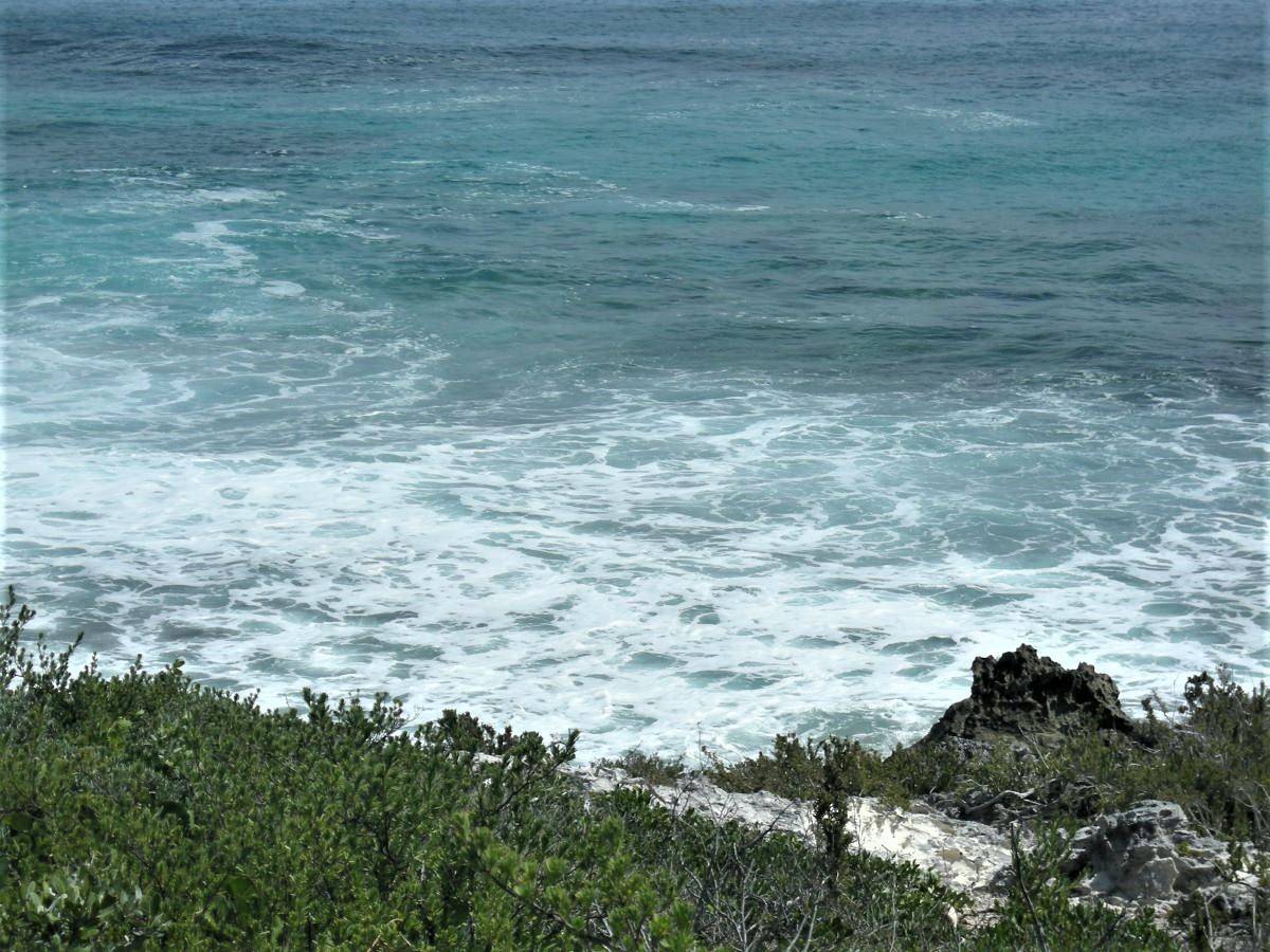 OCEAN FRONT ACREAGE Land Long-Island-Bahamas
