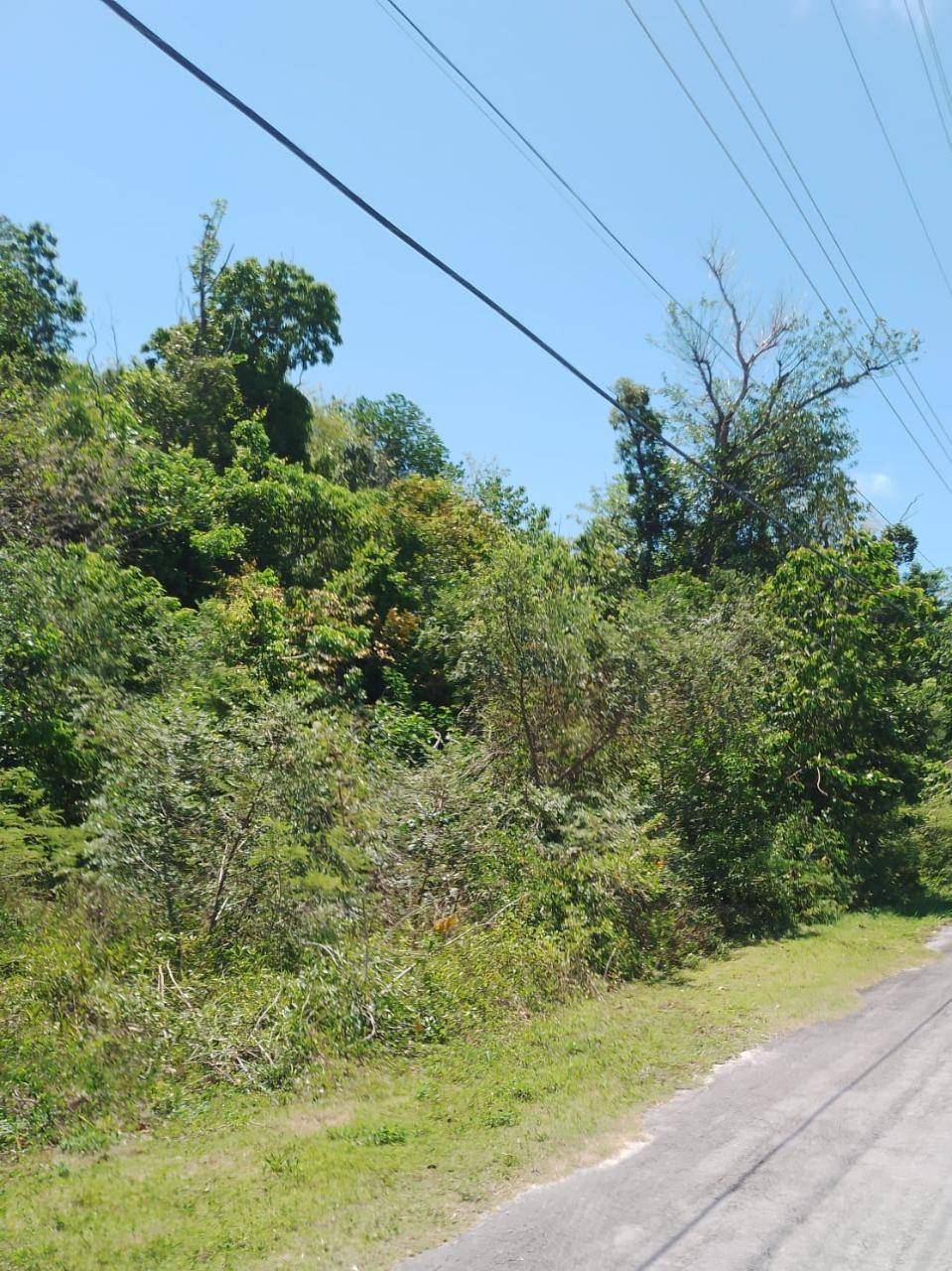 STEDE BONNET ROAD Land Abaco