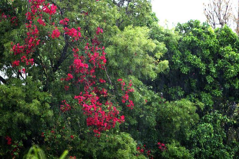 SHORELINE DEVELOPMENT Single Family Home Grand-Bahama-Freeport