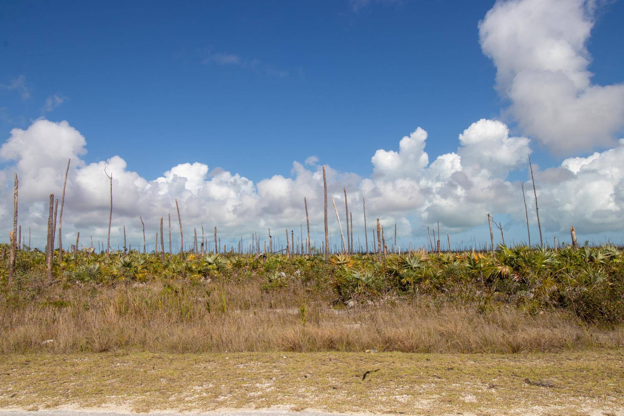 FORTUNE BAY DRIVE Land Grand-Bahama-Freeport