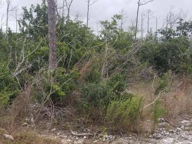 WINDSOR BAY SUB Land Grand-Bahama-Freeport