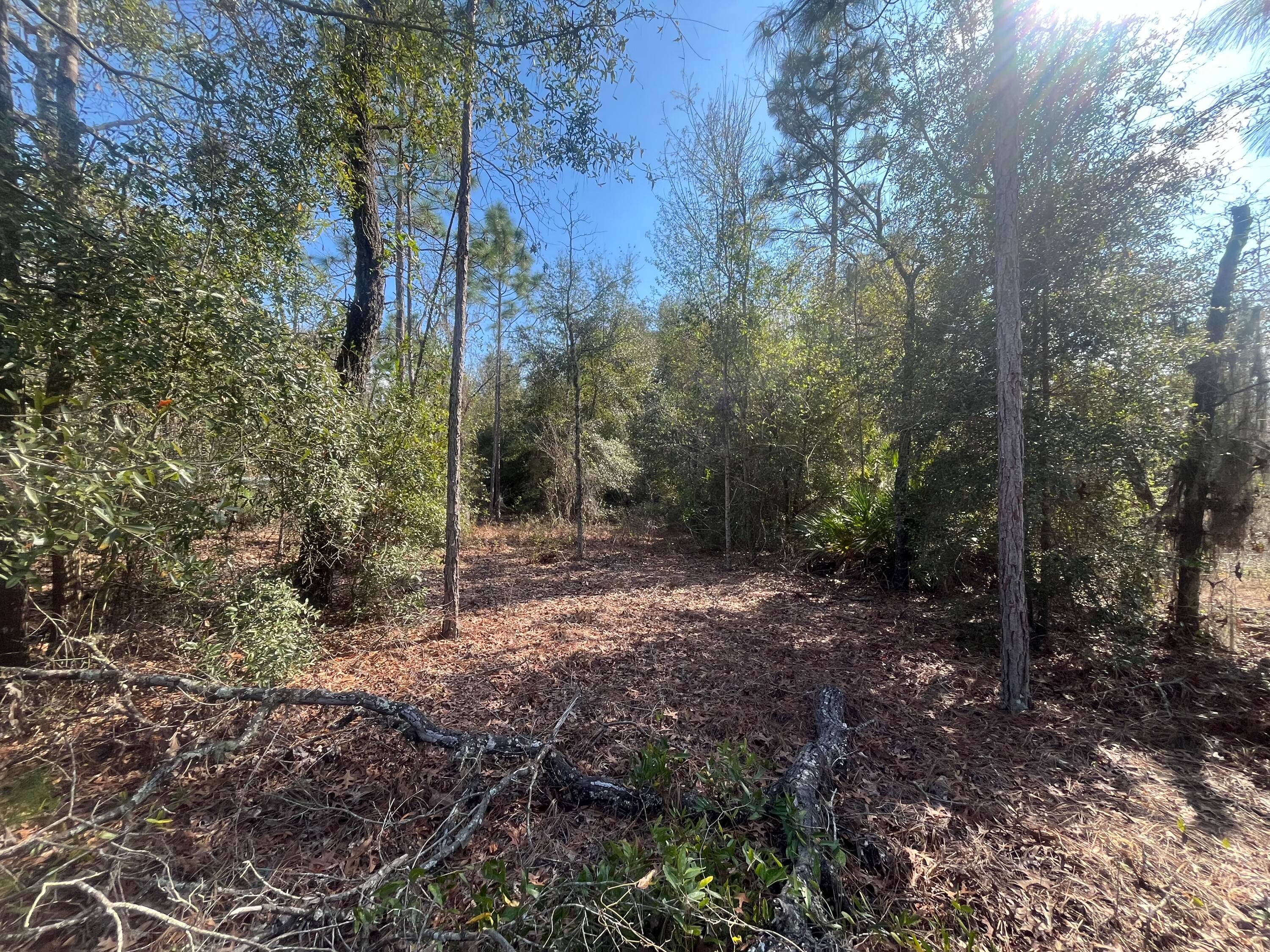 Build your Home or bring your new Mobile Home to this peaceful wooded lot.