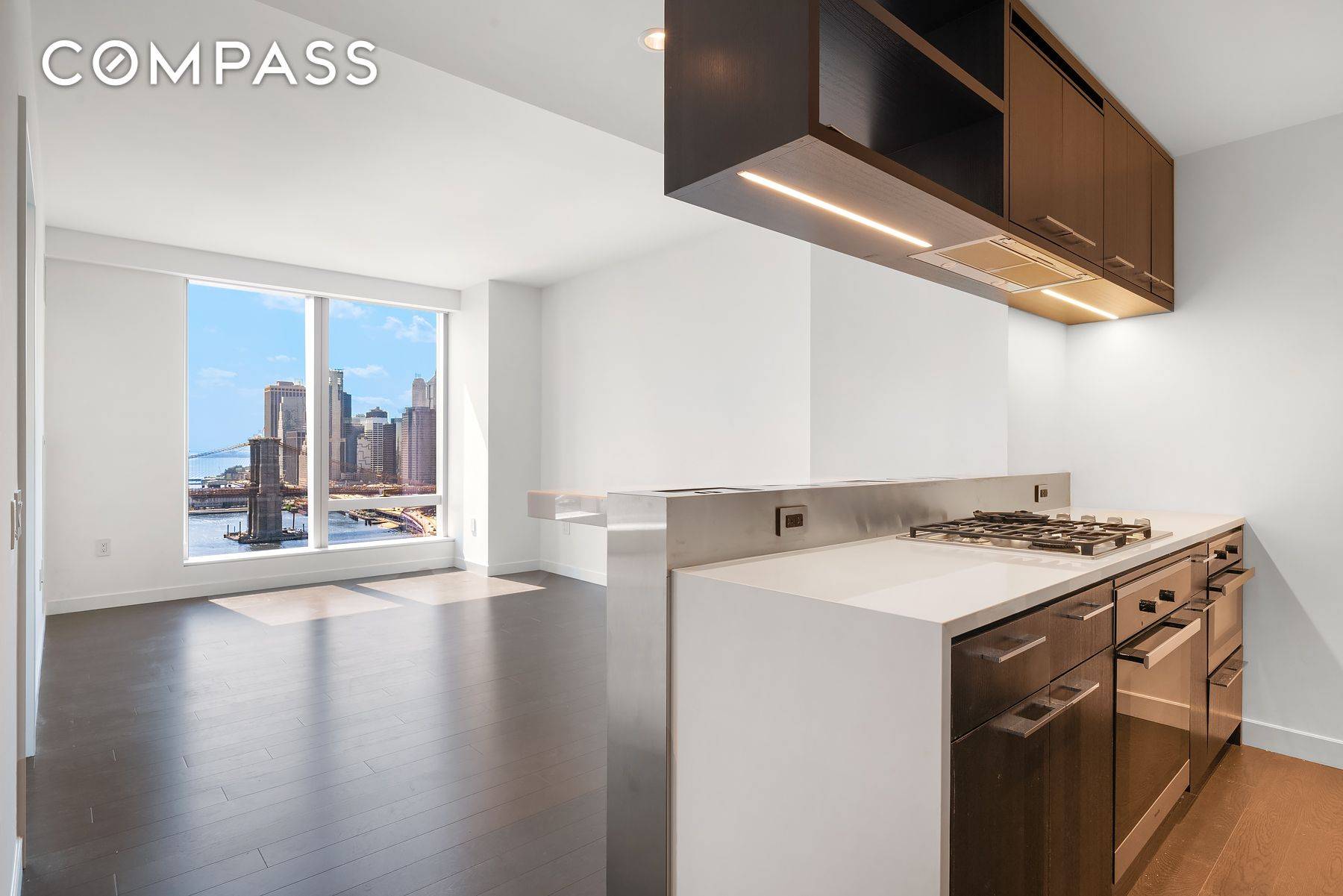 This chic modern 1 Bedroom 1 Bathroom apartment has SPECTACULAR views of the East River, Manhattan Bridge, Brooklyn Bridge and Financial District.