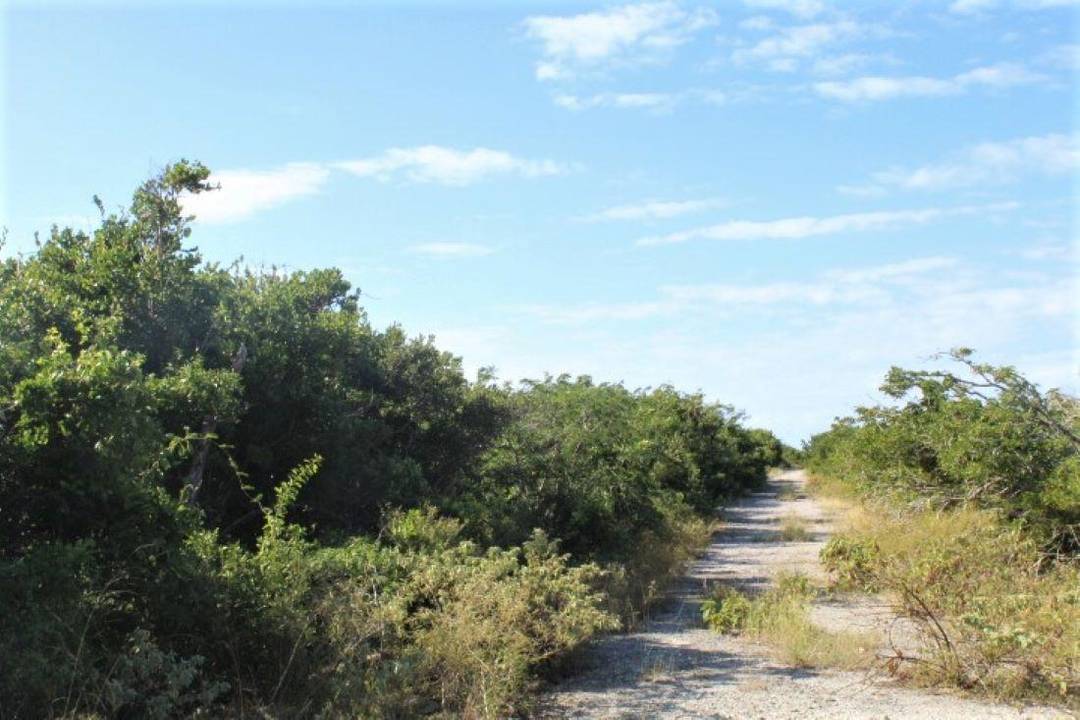 2 ACRES IN MORRISVILLE Land Long-Island-Bahamas