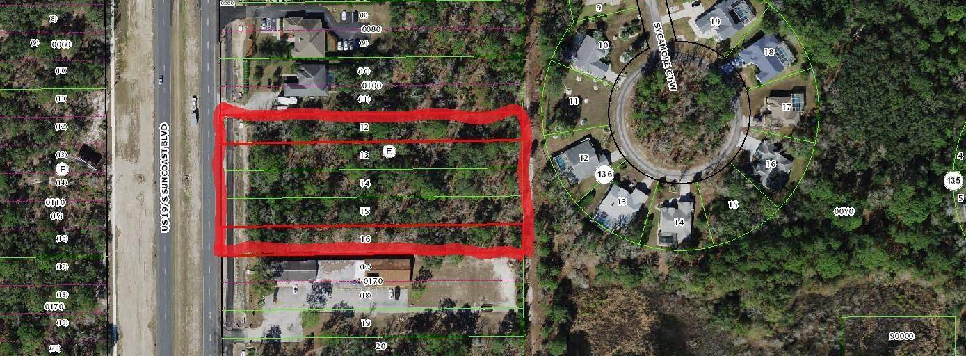 8863 8903 S Suncoast Boulevard, Homosassa, FL 34446 3 Acres located on US Highway 19 !