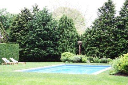 Spacious 7 Bedroom in East Hampton