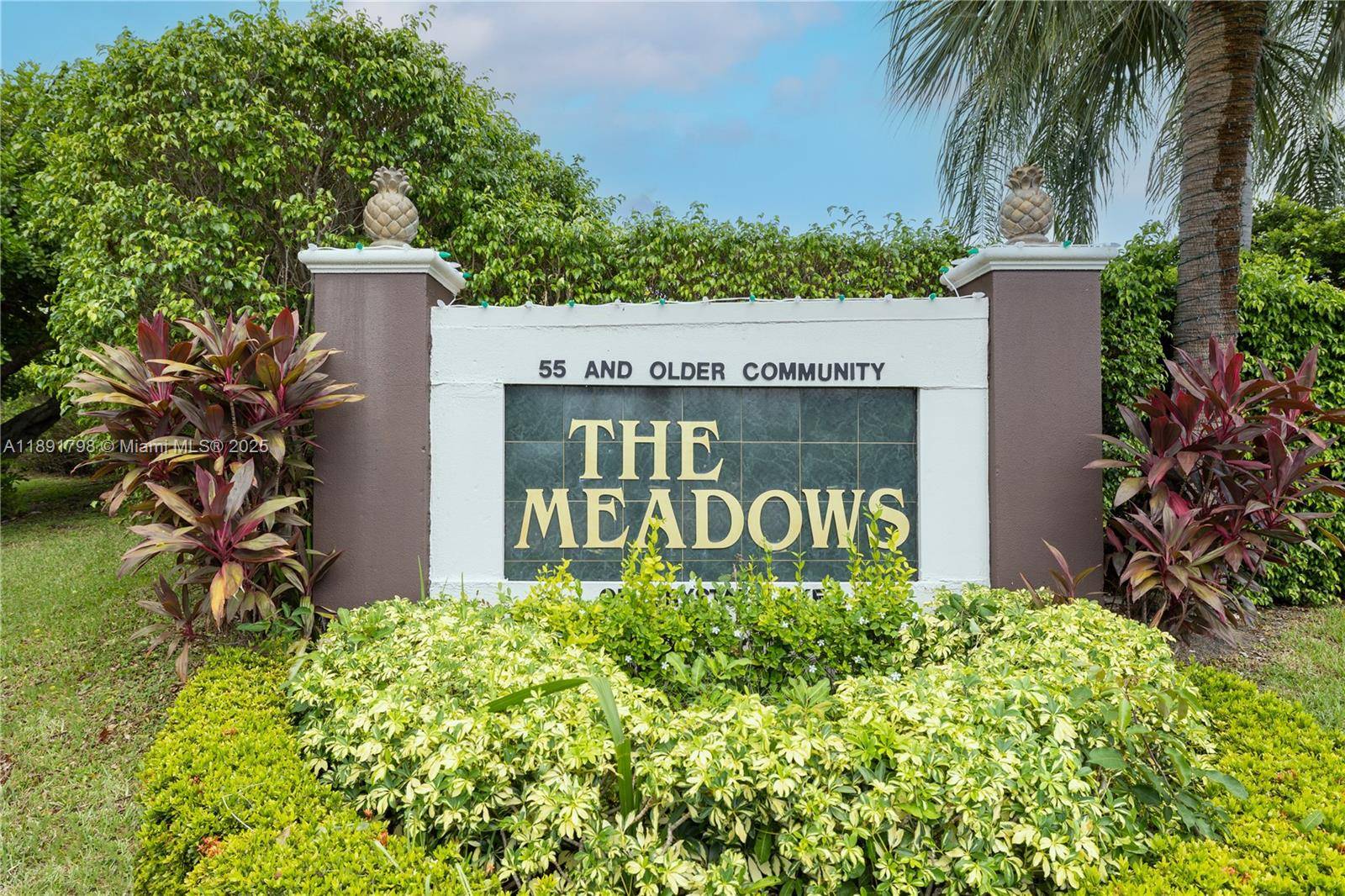 Fabulous single family home in very desirable, The Meadows a 55 community !