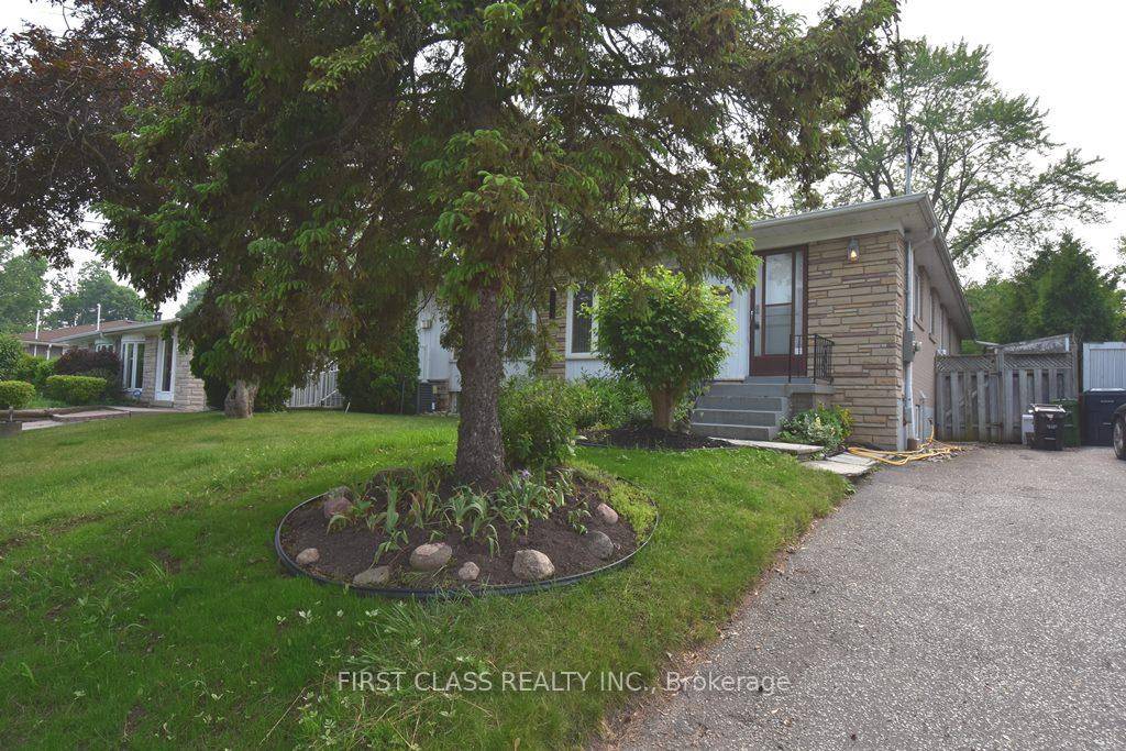 Spacious 3 bedroom separate entrance basement apartment nestled in one of Torontos most sought after neighborhoods !