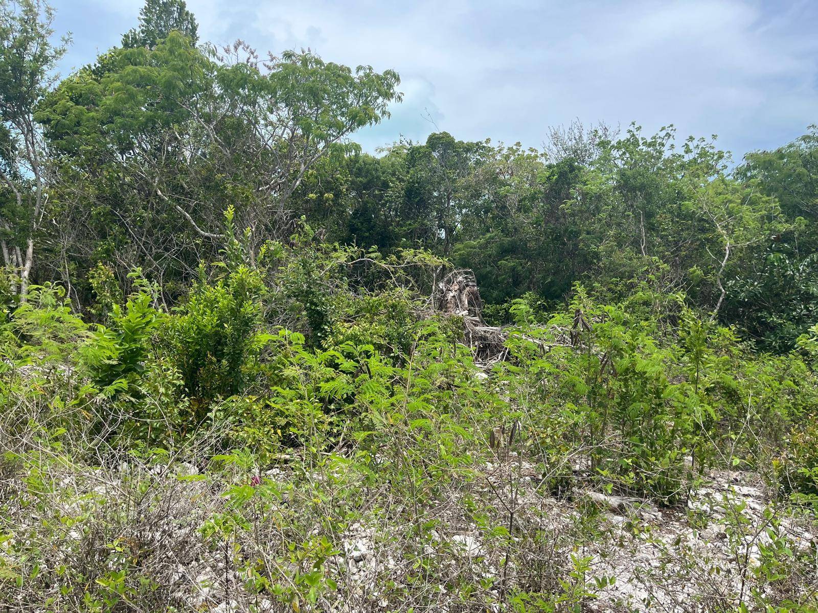 SAMUEL KNOWLES ESTATES LO Land Long-Island-Bahamas