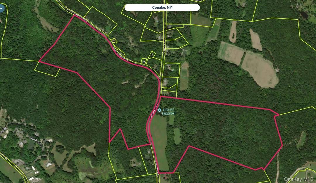 For Sale 200 Acres in a 3 Acre Zone in beautiful Copake, Columbia County.