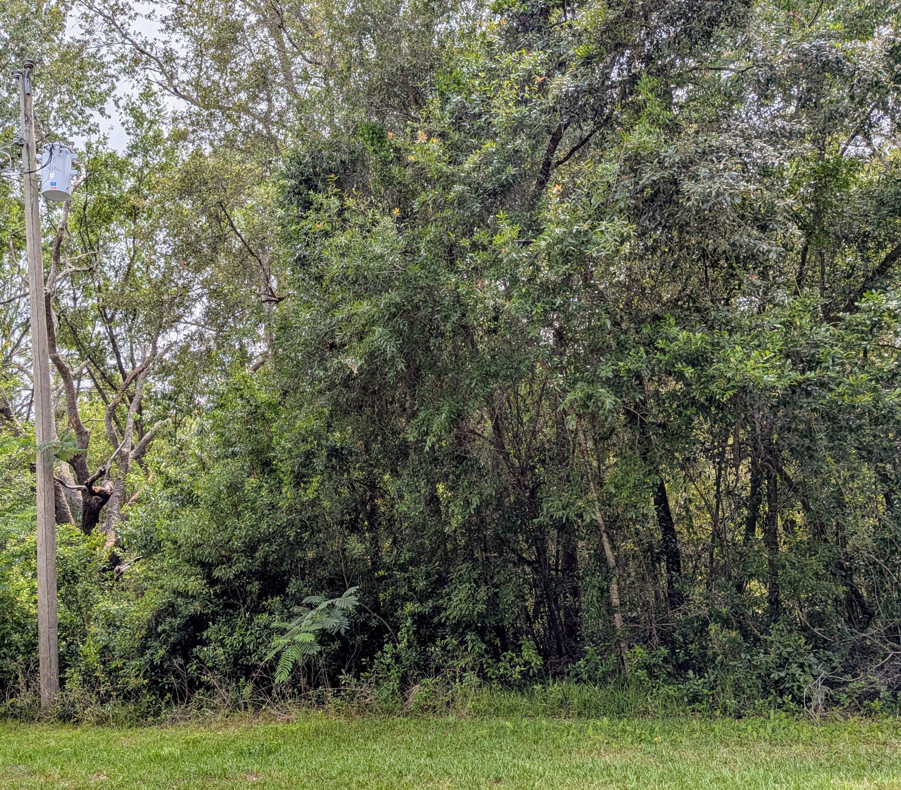Discover the perfect canvas for your future home on this 10, 000 sq ft lot in Citrus Springs !