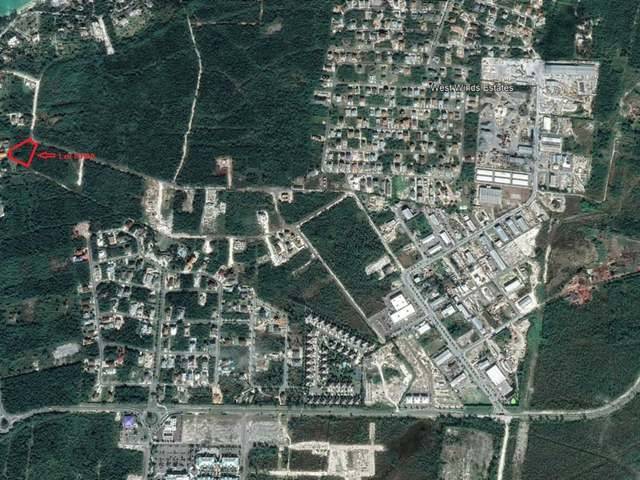 LOT #18A LOVE ESTATES Land New-Providence