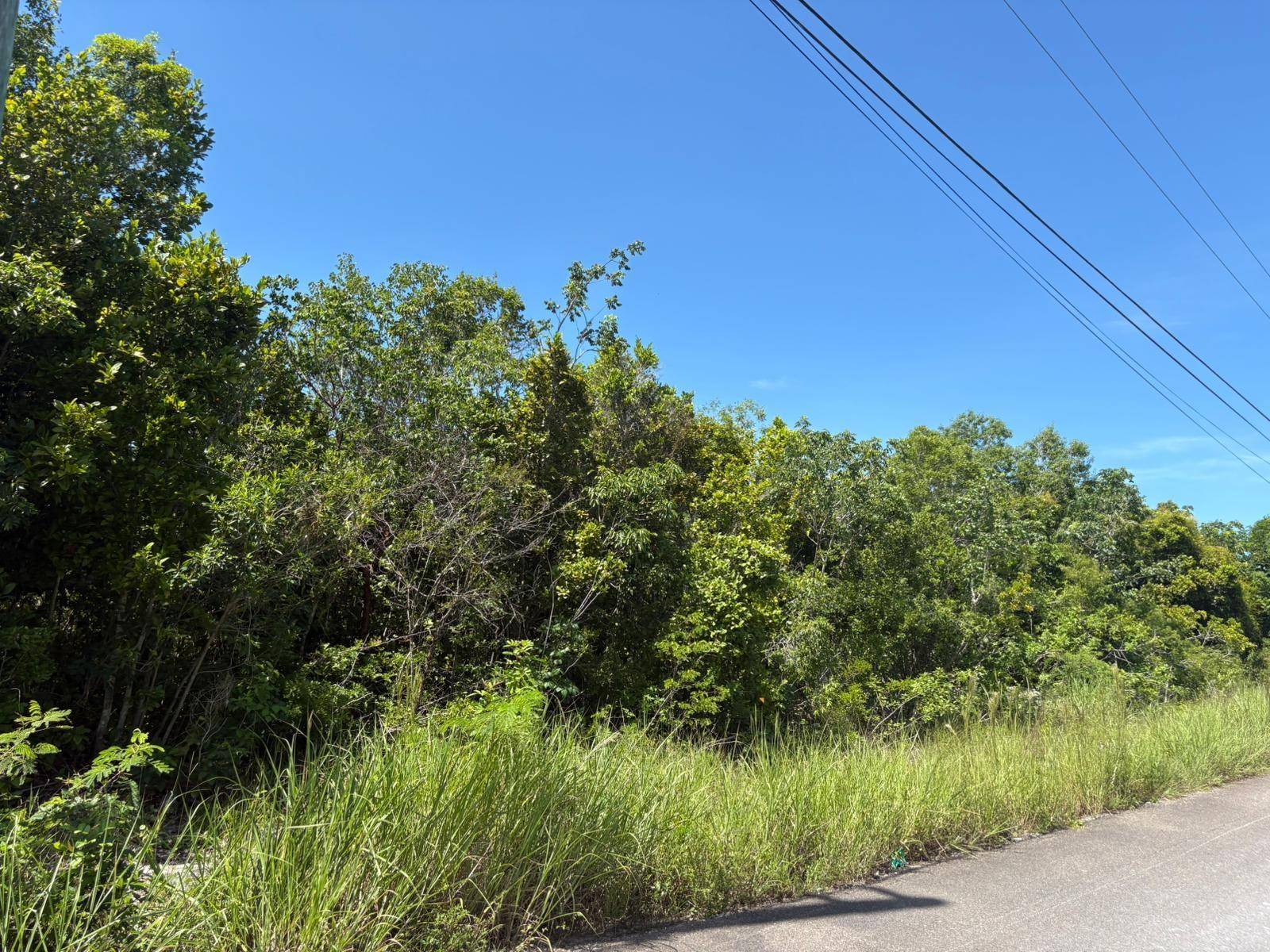 OFF ADELAIDE BEACH ROAD Land New-Providence