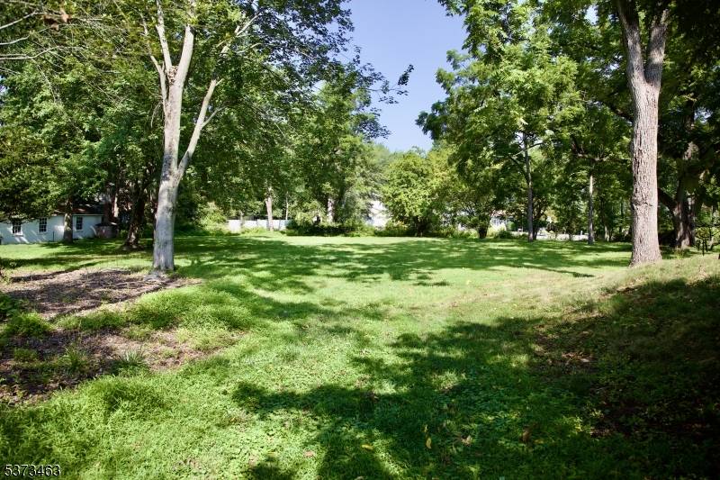 Don't miss this rare opportunity to own one of the LARGEST AND MOST VERSATILE PARCELS IN EAST HANOVER.